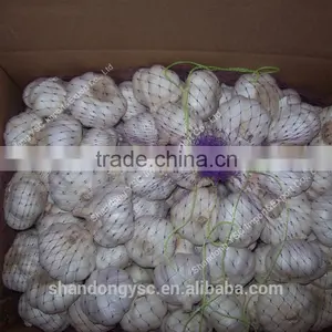 Factory Price Chinese Natural Red Garlic(normal White Garlic, Purple Garlic, White Garlic) thumbnail-6