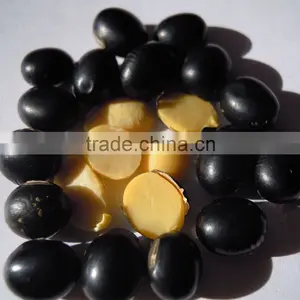 Organic Black Bean Yellow Kernel thumbnail-1