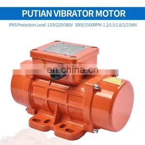 Three Phase Eccentirc Vibrator Motor Horizontal Vibrating Motor Linear Screen Motor thumbnail-2