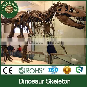 JLDF-0392 Dinosaur Fossil Bone of T-rex thumbnail-1