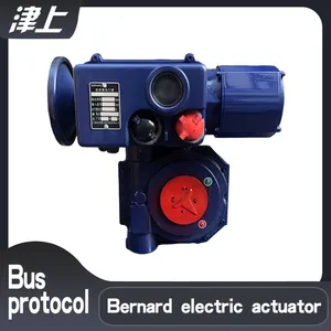 Manufacturers Recommend Bernard Partial Rotary Electric Actuator A+RS100/K48Z RS485 Bus Protocol thumbnail-1