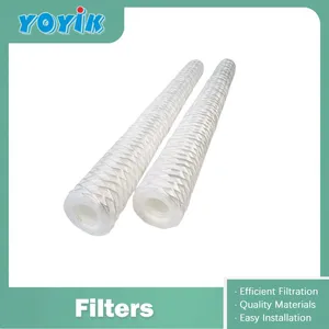Factory in China pp Water Filter WFF-125-1 Stator Cooling Water Outlet Filter China Replacement Supplier thumbnail-1