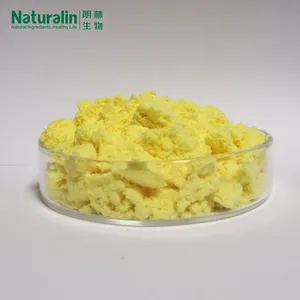 Ginger Extract thumbnail-3