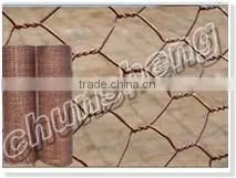 Hexagonal Netting thumbnail-1