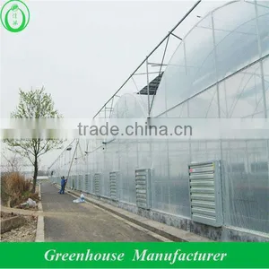 Hot Sale Economical Fix Vent Greenhouse thumbnail-2