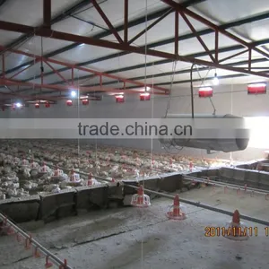 Light Steel Prefab Farm House for Chicken thumbnail-6