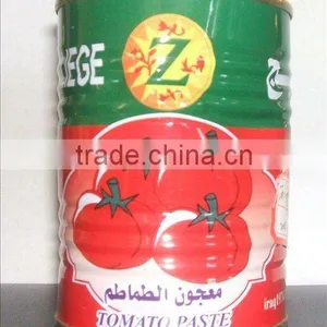 70g Tinned Tomato Paste From Premium Raw Material thumbnail-1