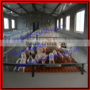 Swine Farm Equipment for Piglet thumbnail-1