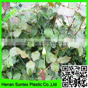 Heavy Duty Long-lasting Flexible Trellis Netting Polyester Net Plant Support Net thumbnail-6
