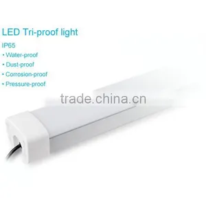 CE RoHS 100-277v Outdoor Ip66 60W ex Proof Led Lights thumbnail-2