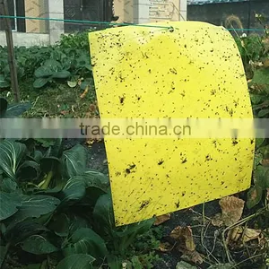 Weather Condition Yellow Sticky Hanging Mosquito ,fly ,insects Plastic Glue Trap thumbnail-2