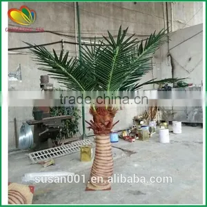 SUS Artificial Coconut Palm Tree Fiberglass Artifcial Coconut Tree thumbnail-2