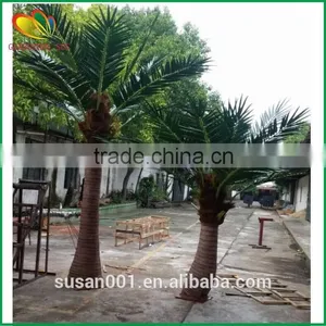 SUS Artificial Coconut Palm Tree Fiberglass Artifcial Coconut Tree thumbnail-1