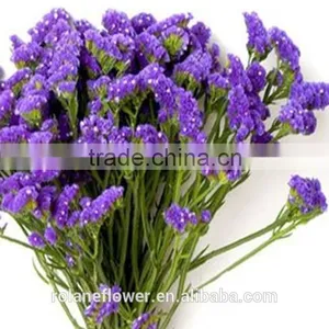 Sweet Home Decoration Statice Flowers With Dark Purple Color thumbnail-4