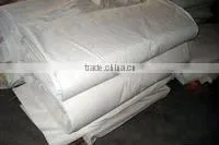 All Cotton thumbnail-1
