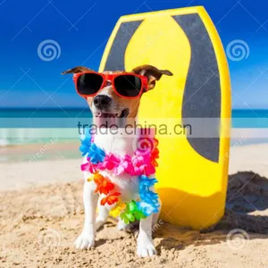 Inflatable Dog's Paddle Board thumbnail-1