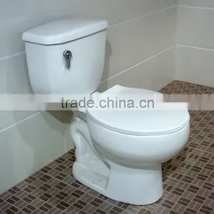 Porcelain Light Sky Blue Two Piece Toilet in China thumbnail-1