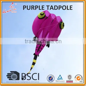 8sqm, 13sqm,20sqm Lifter, Pilot Kite, Tadpole, From the Kite Factory Quality Choice thumbnail-6