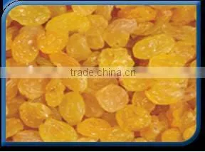 Golden Raisin thumbnail-1