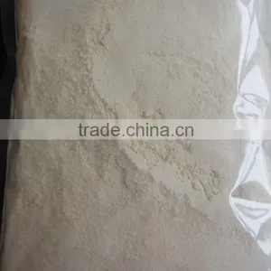 Garlic Powder Garlic Powder Processing Plant thumbnail-2