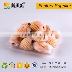 Disposable Plastic PET Fruit and Vegetable Tray thumbnail-3