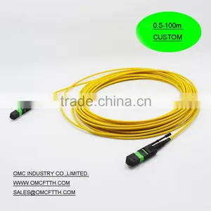 High Quality SM MTP 12 Cores Patch Cord From Factory thumbnail-1