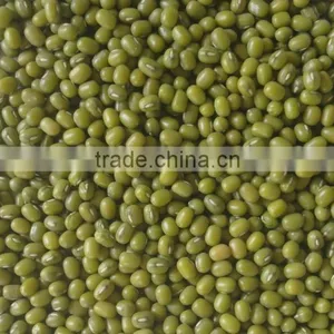 Top Quality Green Mung Beans thumbnail-1