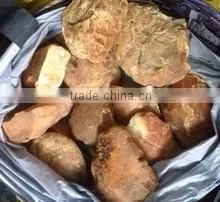Ukraine Amber thumbnail-1