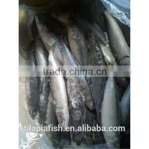 Good Quality Mackerel Fish Frozen thumbnail-2