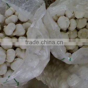 Chinese Best Garlic thumbnail-1