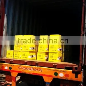 Distributor of Wax Matches For Mexico Market at Low Cost thumbnail-6