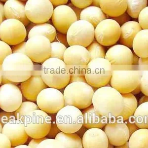 Food Grade Functional Soy Protein Concentrate(68%) thumbnail-1