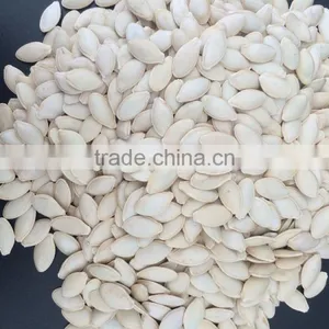 Wholesale Chinese White Pumpkin Seeds With High Quality thumbnail-1