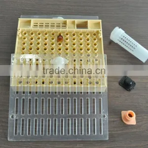 Apiculture Tools Beekeeping Queen Rearing thumbnail-1