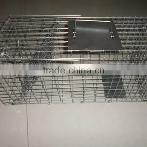 2015 the Most Popular Live Animal Traps (high Quality Wit Big Supply) thumbnail-3