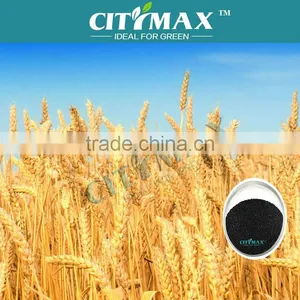 High Purity of Humic Acid Potassium thumbnail-1