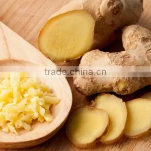 Hot Sale Competitive Price New Harvested Young Ginger thumbnail-3