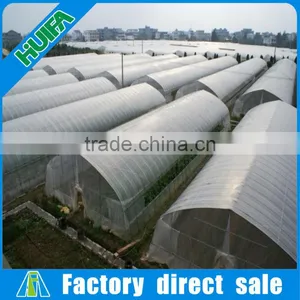 New Design Hot Sale Steel Frame High Tunnel Greenhouse thumbnail-1