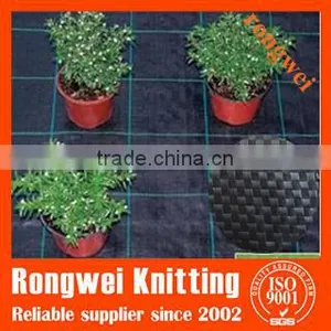 Plain Woven 12x12 Mesh Plastic Weed Mat thumbnail-5