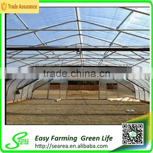 Low Cost Plastic Agriculture Greenhouse thumbnail-4