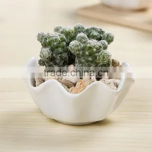 Creative Zakka White Ceramic Indoor Planters for Succulents thumbnail-1