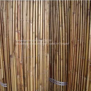 White Fern Screen Fence thumbnail-1
