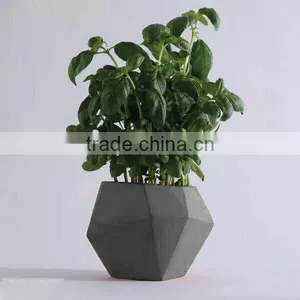 Office Desktop Concrete Flower Pot thumbnail-1
