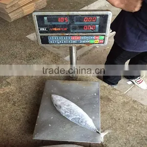 Whole Frozen Bonito Fish Bonito Whole Frozen 750G up thumbnail-1