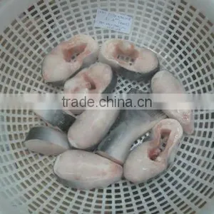 Frozen Pangasius Steak thumbnail-1