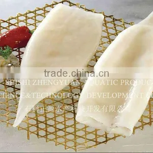 Frozen Argentina Squid Product thumbnail-1