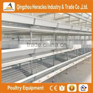 Heracles Automatic Chicken Poultry Farm Layer Cages for Sale in Zimbabwe thumbnail-4