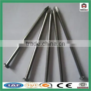 China Iso Factory Good Quality Construction Hot Sale Common Wire Nail thumbnail-5