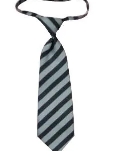 High Stitches Purple Polyester Woven Necktie Stwill Shirt Collar Accessories thumbnail-1