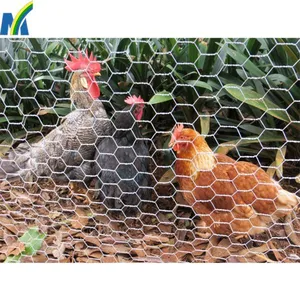 Chicken Wire Netting Hexagonal Wire Netting Poultry Mesh thumbnail-2